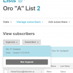 wpmp-adp-1542710309-mailchimp_step_5_check_segment_in_mailchimp1